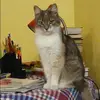 Отзыв от Виктория Беликова